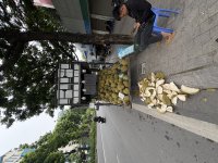 IMG_6384.jpeg