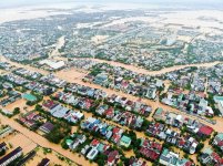 IMG_6803.jpeg IMG_6803.jpeg