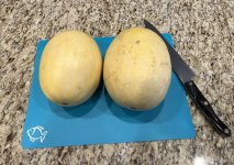 IMG_4543.jpeg IMG_4543.jpeg