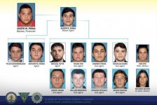 IMG_8381.jpeg IMG_8381.jpeg