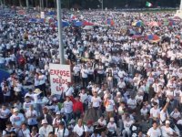 IMG_7892.jpeg IMG_7892.jpeg