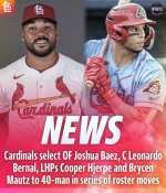 IMG_9546.jpeg IMG_9546.jpeg