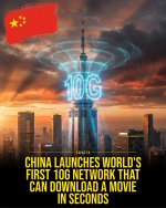 IMG_8069.jpeg IMG_8069.jpeg