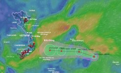 IMG_8109.jpeg IMG_8109.jpeg