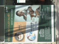 IMG_8231.jpeg IMG_8231.jpeg