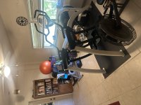 IMG_3928.jpeg IMG_3928.jpeg