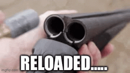 IMG_5100.gif IMG_5100.gif