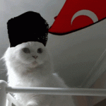 1764964262701.gif 1764964262701.gif