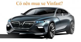 vin1.jpeg
