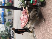 45F9B517-E2EB-469C-85EA-F28081D89E49.jpeg