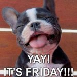 friday.jpg