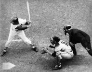 IMG_8940.jpeg IMG_8940.jpeg