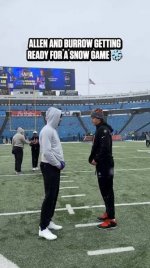 IMG_1768.jpeg IMG_1768.jpeg