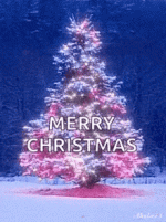 christmas-lights-merry-christmas.gif christmas-lights-merry-christmas.gif