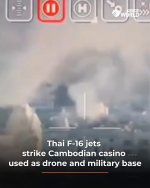 IMG_8981.jpeg IMG_8981.jpeg