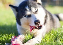 1765284534254.png 1765284534254.png