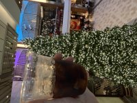 IMG_0848.jpeg IMG_0848.jpeg