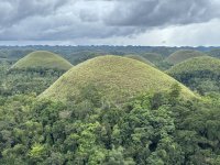 IMG_5951.jpeg IMG_5951.jpeg