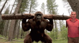 1766778912377.gif 1766778912377.gif