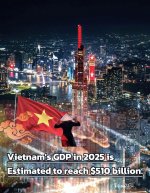 IMG_0449.jpeg IMG_0449.jpeg