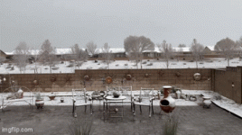 IMG_5693.gif IMG_5693.gif