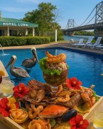 IMG_8912.jpeg IMG_8912.jpeg