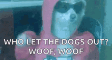 party-dog.gif party-dog.gif