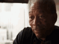 1770133291200.gif 1770133291200.gif