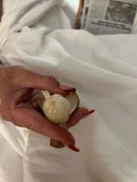 F8C2978D-254E-4CD9-891E-71862D7355B9.jpeg