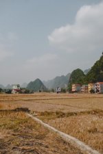 IMG_6372.JPG