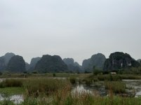 IMG_5822.jpg
