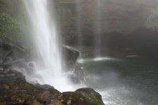 11C7C378-8254-4C18-A4D3-5557CFF72463.jpeg