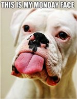 Monday.jpg Monday.jpg