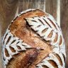 sourdoughstef