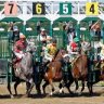 bettingponies
