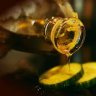 oliveoil88