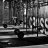 crossfitcarl