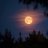 moonbeammira